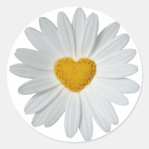 Daisy Heart Ronde Sticker