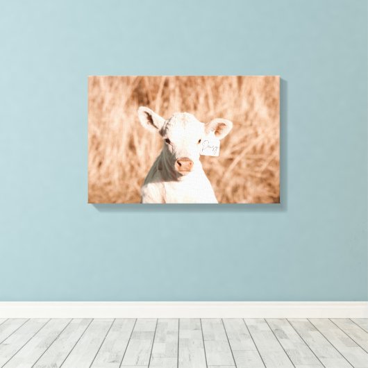 Daisy het Schattigee witte kalf in Golden Meadow Canvas Afdruk (Insitu (Houten vloer))