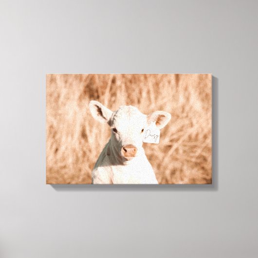 Daisy het Schattigee witte kalf in Golden Meadow Canvas Afdruk (Voorkant)