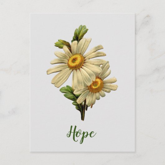 Daisy Hoop Inspirerend Briefkaart (Voorkant)