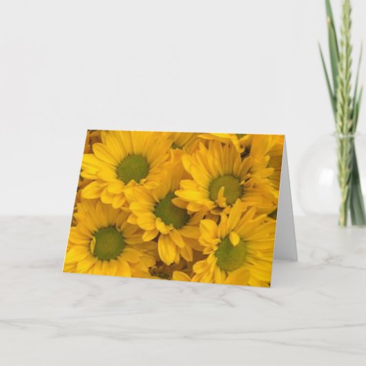 Daisy Hugs Kaart (Voorkant)