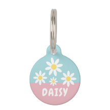 DAISY