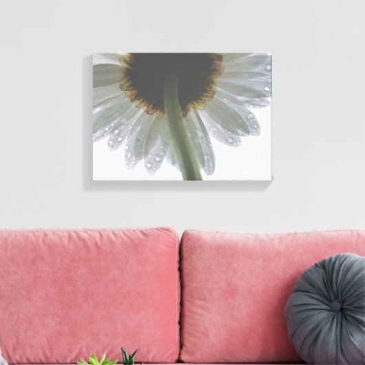 Daisy in de regen canvas afdruk (Insitu (Woonkamer))