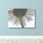 Daisy in de regen canvas afdruk (Insitu (Houten vloer))
