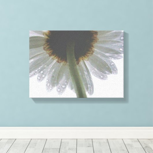 Daisy in de regen canvas afdruk (Insitu (Houten vloer))