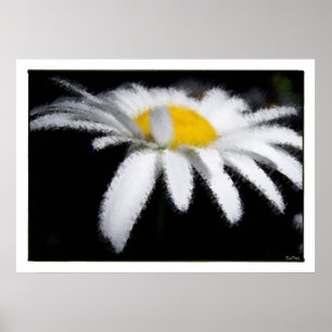 Daisy in het donker poster