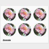 Daisy in roze ronde sticker (Vel)