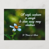 Daisy in Shadows St Francis of Assisi Quote Briefkaart (Voorkant)