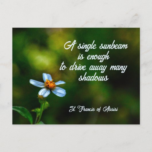 Daisy in Shadows St Francis of Assisi Quote Briefkaart (Voorkant)
