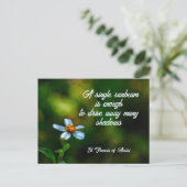 Daisy in Shadows St Francis of Assisi Quote Briefkaart (Staand voorkant)