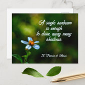 Daisy in Shadows St Francis of Assisi Quote Briefkaart