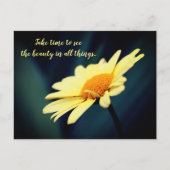 Daisy Inspirerend Appreciate Beauty Briefkaart (Voorkant)