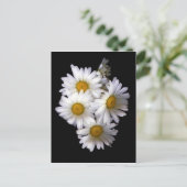 Daisy IV Briefkaart (Staand voorkant)