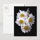 Daisy IV Briefkaart (Voorkant / Achterkant)