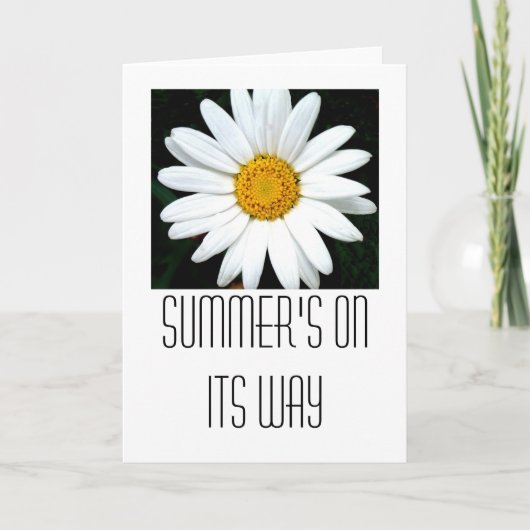 Daisy Kaart (Voorkant)