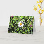 Daisy Kaart (Gele Bloem)