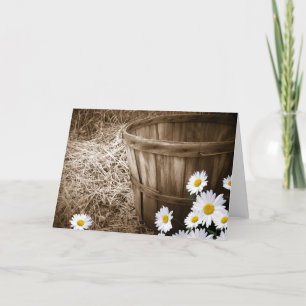  Daisy Kaart