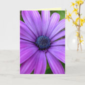 Daisy Kaart Wild Flowers Custom Wenskaarten (Gele Bloem)