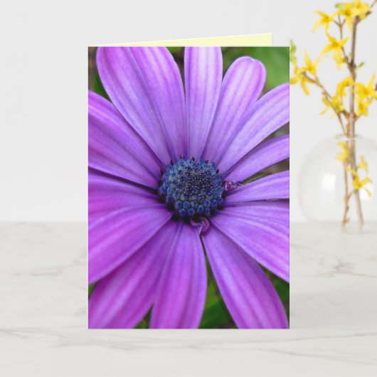 Daisy Kaart Wild Flowers Custom Wenskaarten (Gele Bloem)