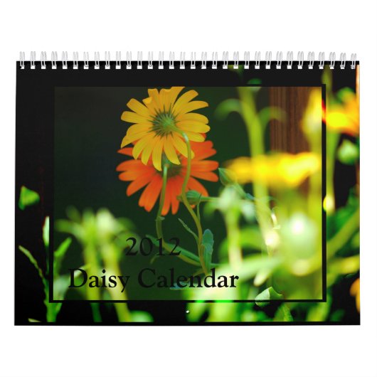 Daisy- kalender 2016 (Hoes)