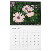 Daisy- kalender 2016 (Jan 2027)