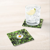 Daisy Kartonnen Onderzetters (Insitu)