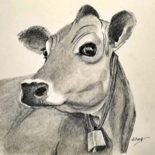 Daisy Koe greetings card Kaart