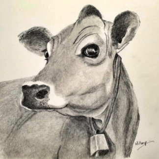 Daisy Koe greetings card Kaart