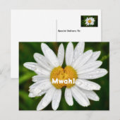 Daisy Kussen Verjaardag Valentijn Groet  Briefkaart (Voorkant / Achterkant)