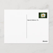 Daisy Kussen Verjaardag Valentijn Groet  Briefkaart (Achterkant)