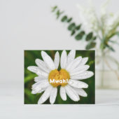 Daisy Kussen Verjaardag Valentijn liefde Groet Briefkaart (Staand voorkant)