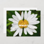 Daisy Kussen Verjaardag Valentijn liefde Groet Briefkaart (Voorkant / Achterkant)