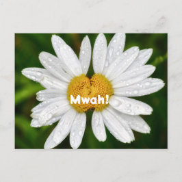 Daisy Kussen Verjaardag Valentijn liefde Groet  Briefkaart