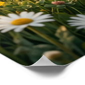 Daisy Lamb Spring Pasture Poster (Hoek)