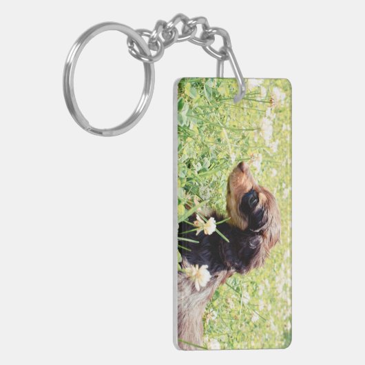 Daisy & Littermates Double Photo Keepomwille Sleutelhanger (Voorkant Links)