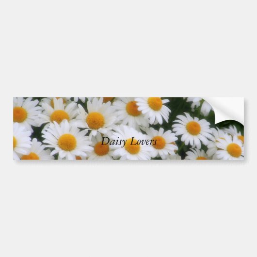 , Daisy Lovers Bumpersticker (Voorkant)