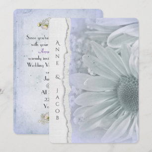 daisy macro in paarse tint met verscheurde papiere kaart