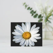 Daisy Mae Briefkaart (Staand voorkant)