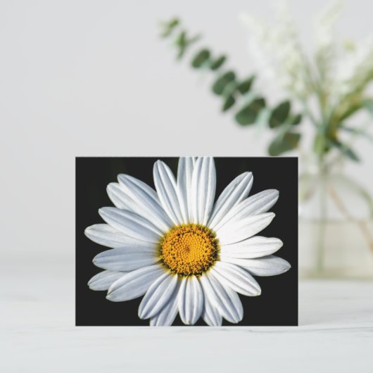 Daisy Mae Briefkaart (Staand voorkant)