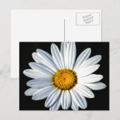 Daisy Mae Briefkaart (Voorkant / Achterkant)