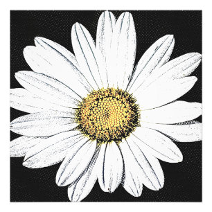 Daisy Mae Foto Afdruk