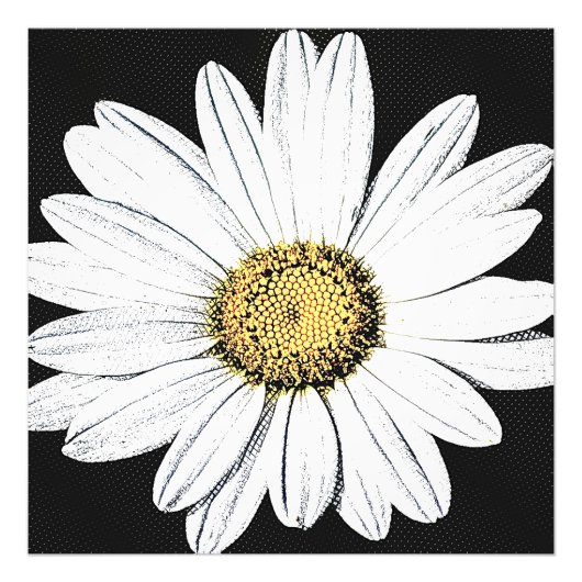 Daisy Mae Foto Afdruk (Voorkant)