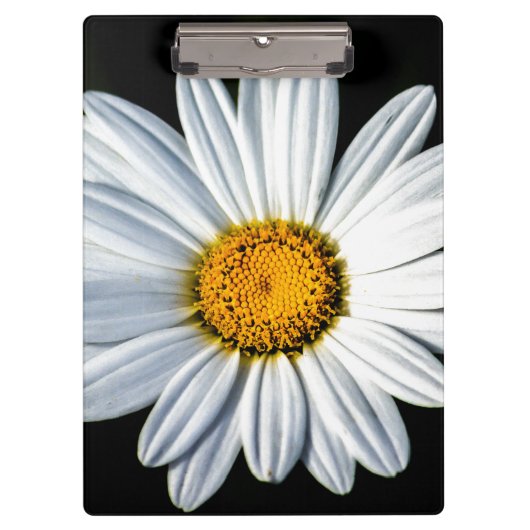 Daisy Mae Klembord (Voorkant)