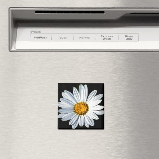 Daisy Mae Magnet (Insitu (Vaatwasser))