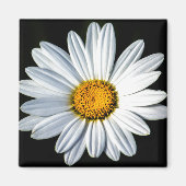 Daisy Mae Magnet (Voorkant)