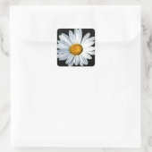 Daisy Mae Sticker (Tas)