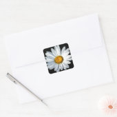 Daisy Mae Sticker (Envelop)