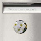 Daisy Magneet (Insitu (Vaatwasser))