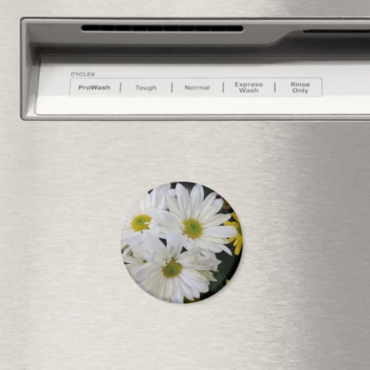 Daisy Magneet (Insitu (Vaatwasser))