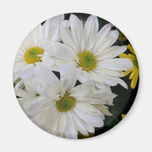 Daisy Magneet